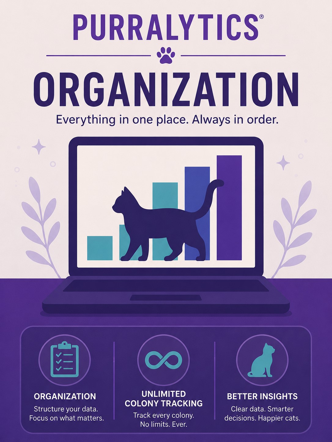Organization plan